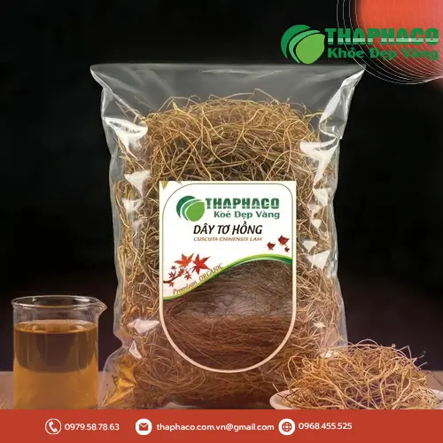 Dây tơ hồng khô được đóng gói cẩn thận tại THAPHACO