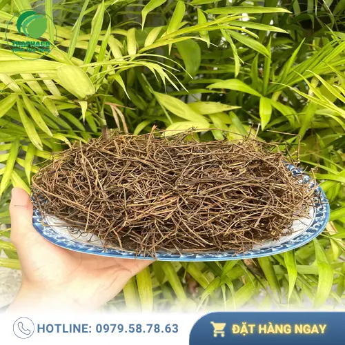 Hình ảnh dây tơ hồng sấy khô đã được đóng gói, sẵn sàng sử dụng