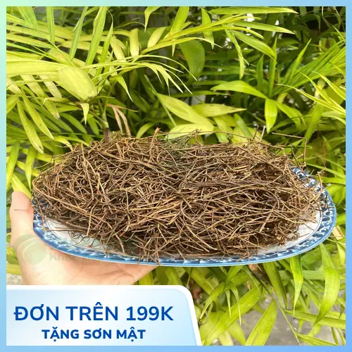 Tác dụng của dây tơ hồng đối với sinh lý nam
