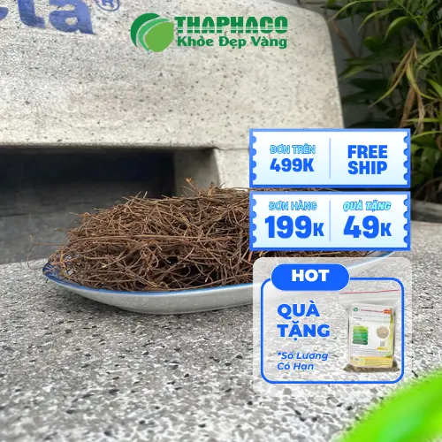 Dây tơ hồng sấy khô THAPHACO chất lượng