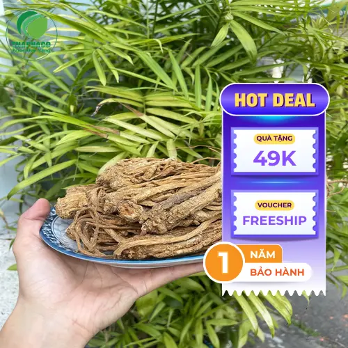 Đương quy khô nguyên chất tại THAPHACO, đảm bảo nguồn gốc rõ ràng và chất lượng cao.