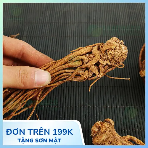 Đương quy chất lượng cao của THAPHACO, được đóng gói cẩn thận.