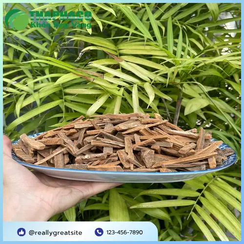 Hậu phác khô chất lượng cao THAPHACO