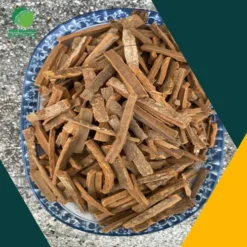 Mua Sỉ Hậu Phác Khô Ở Đâu Uy Tín? THAPHACO