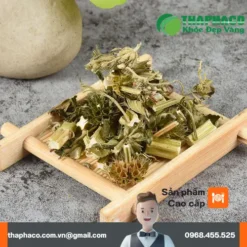 Mua Ích Mẫu Khô Ở Đâu Uy Tín? Chuyên Gia THAPHACO Chia Sẻ