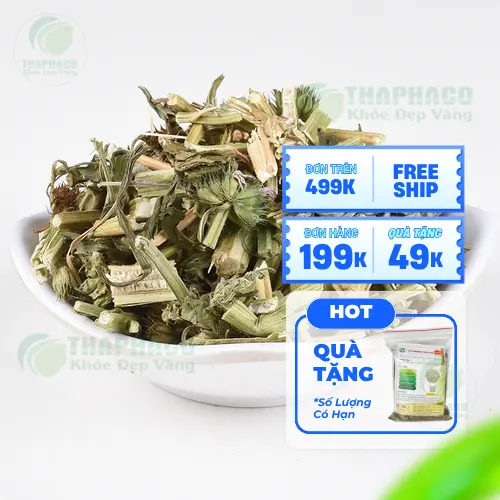 Pha chế ích mẫu khô đúng cách để đạt hiệu quả tốt nhất