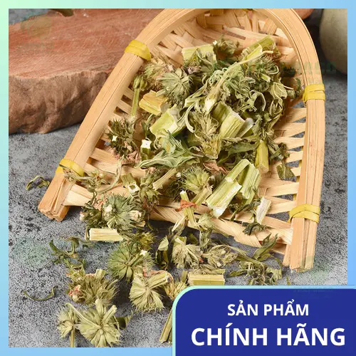 Lưu ý bảo quản ích mẫu sấy khô hiệu quả