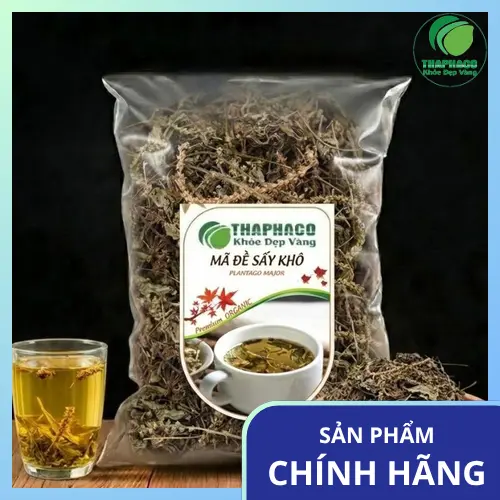 Lá mã đề tươi nguyên liệu được chọn lọc kỹ càng tại THAPHACO