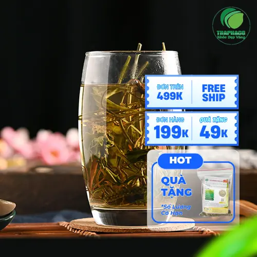 Trà mã đề sấy khô THAPHACO - nguyên liệu pha trà thảo mộc tự nhiên
