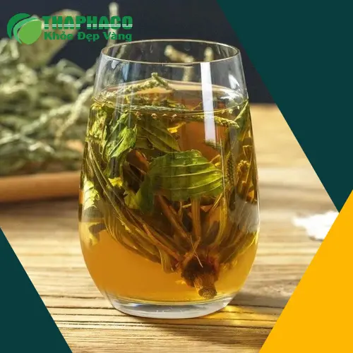 Mã đề sấy khô THAPHACO với màu sắc tự nhiên, giữ trọn hương vị và dưỡng chất