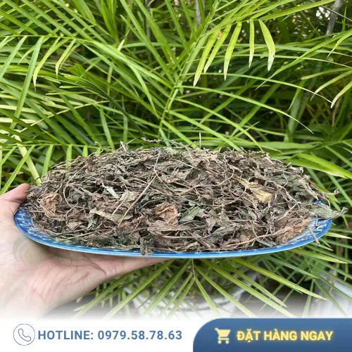 Sản phẩm mã đề sấy khô được đóng gói cẩn thận, đảm bảo vệ sinh và dễ dàng bảo quản