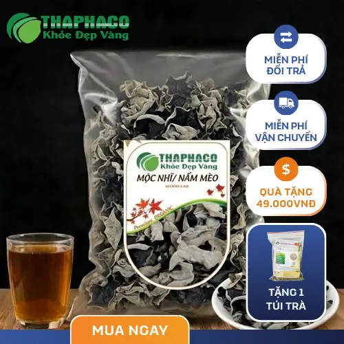 Chọn mua mộc nhĩ khô chất lượng tại THAPHACO