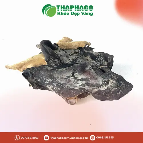 Mộc nhĩ sấy khô trước khi chế biến