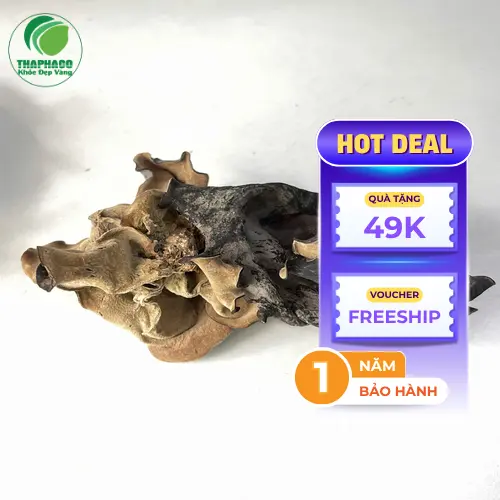 Mộc nhĩ khô và các công dụng hỗ trợ sức khỏe