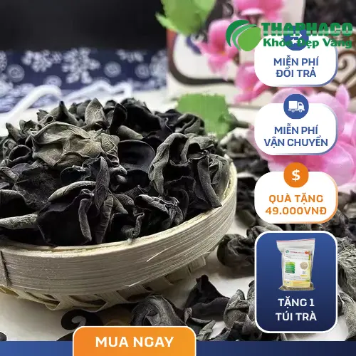 Địa chỉ mua mộc nhĩ khô THAPHACO tại TP.HCM