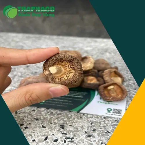 Nấm đông cô tươi và khô, biểu tượng của sự bổ dưỡng và đa năng trong ẩm thực.