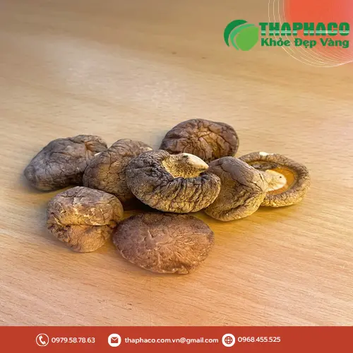 Công dụng hỗ trợ của nấm đông cô