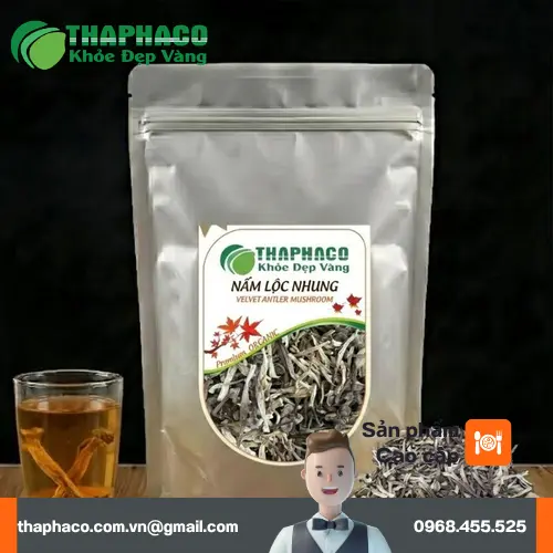 Nấm lộc nhung khô chất lượng tại THAPHACO