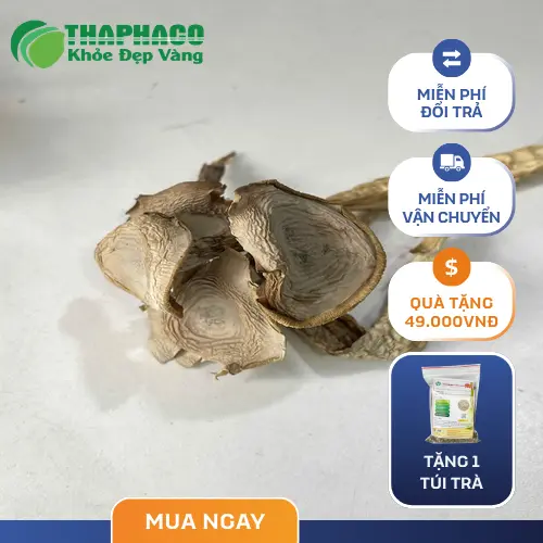 Nấm Lộc Nhung xào thập cẩm chay