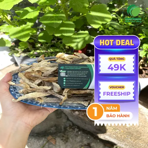 Nấm Lộc Nhung khô