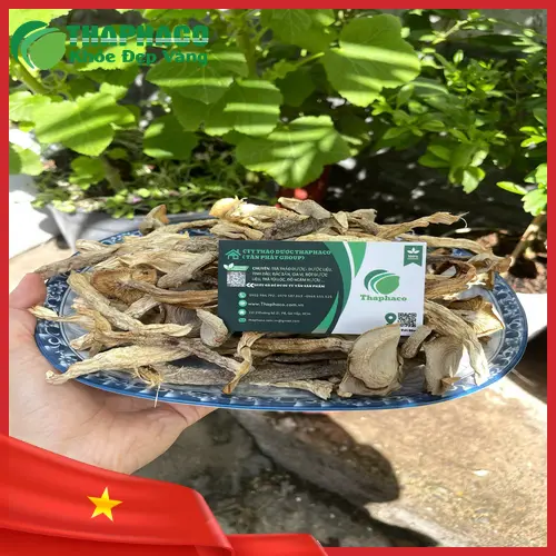 Đặc Điểm Nấm Lộc Nhung