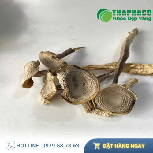 Kiểm tra mùi hương đặc trưng của nấm lộc nhung khô