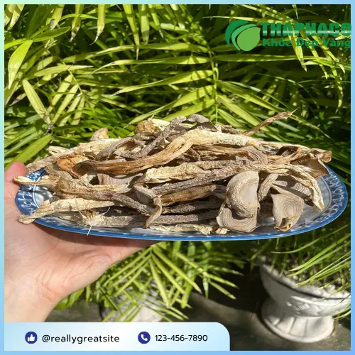 Món ngon từ nấm lộc nhung sấy khô