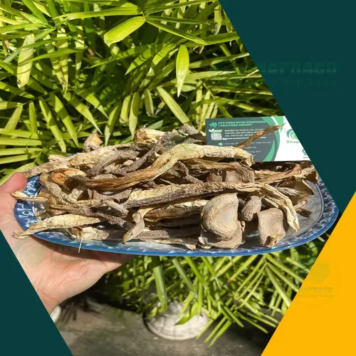 Nấm lộc nhung khô THAPHACO chất lượng