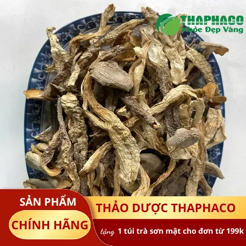 Các món ăn chế biến từ nấm lộc nhung