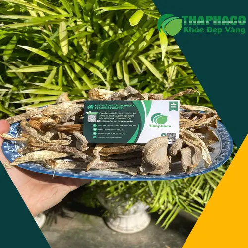 Cháo nấm lộc nhung thanh đạm bổ dưỡng