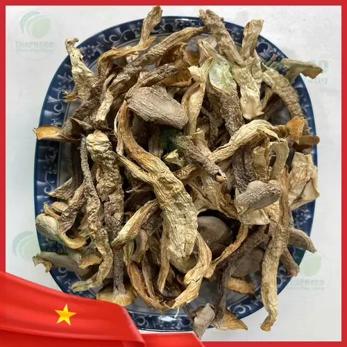 Các món chay từ nấm lộc nhung