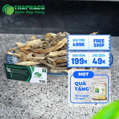 Nấm lộc nhung khô tại THAPHACO