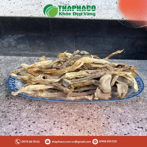 Địa chỉ mua Nấm Lộc Nhung tại TP.HCM