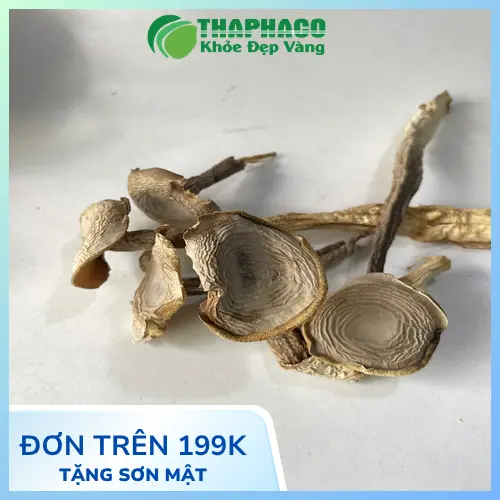 Quy trình kiểm định chất lượng Nấm Lộc Nhung tại THAPHACO