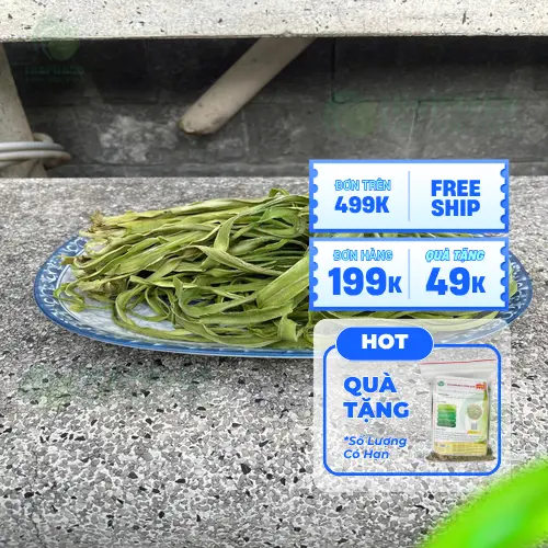 Lợi ích sức khỏe của rau tiến vua