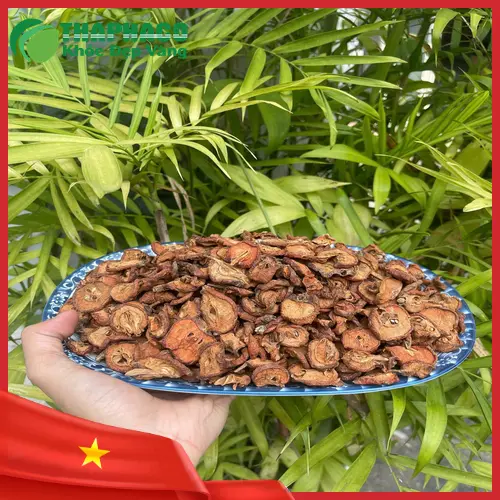Các công thức trà táo mèo giảm mỡ máu hiệu quả tại nhà