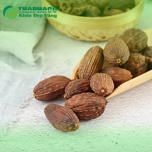Thảo quả sấy khô nguyên hạt chất lượng cao