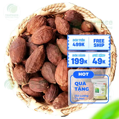 Thảo quả nguyên trái sấy khô từ THAPHACO tại TP.HCM