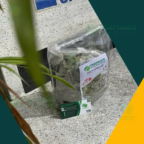 Lá Bạch Đồng Nữ khô tự nhiên