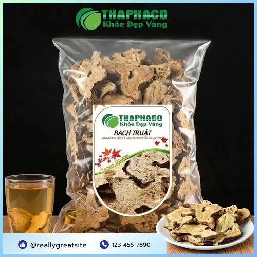 Hình ảnh cây Bạch Truật tươi và rễ củ của nó