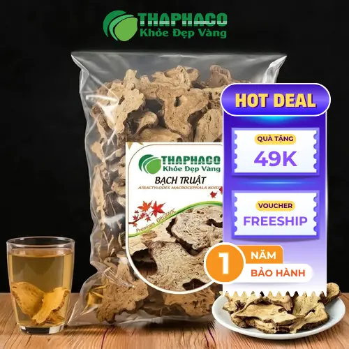 Hình ảnh củ Bạch Truật khô chất lượng tại THAPHACO