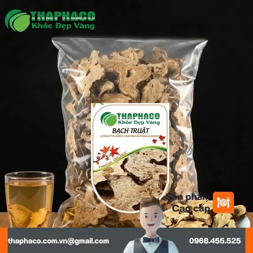 Lát cắt Bạch Truật khô với màu sắc và vân đặc trưng