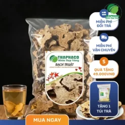 Mua Bạch Truật Khô Uy Tín Tại TP.HCM: Hướng Dẫn Chọn & Mua