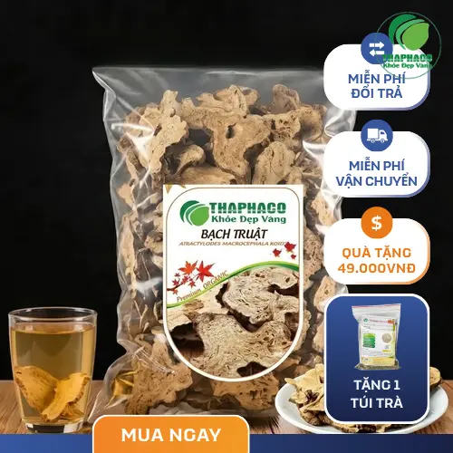 Hình ảnh các lát Bạch Truật Khô chất lượng cao, màu sắc tự nhiên, khô ráo
