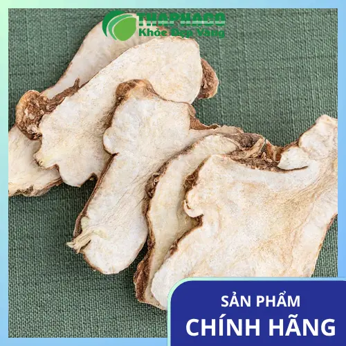 Bạch Truật khô được sử dụng trong các bài thuốc Y học cổ truyền