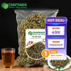 1kg Cà Gai Leo Sấy Khô Giá Tốt tại THAPHACO