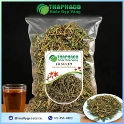 Địa Chỉ Bán Cà Gai Leo Sấy Khô Tại TP.HCM - THAPHACO