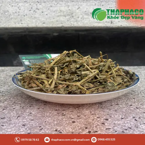 Cà gai leo khô đã được cắt lát và phơi khô