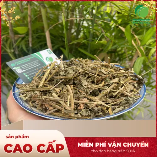 Hình ảnh sản phẩm cà gai leo khô đóng gói