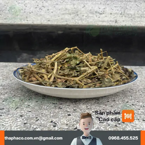 Hình ảnh các thành phần trong cà gai leo
